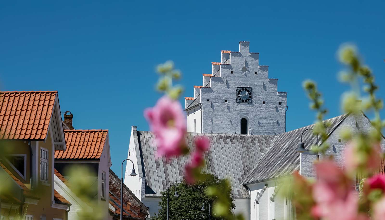 Foto: Peter Joergensen