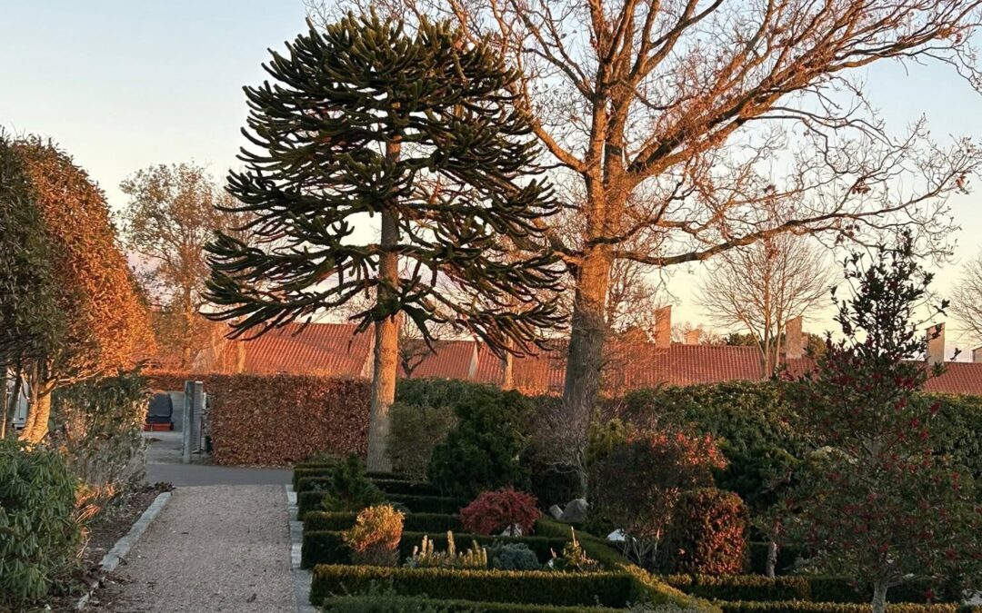 Velkommen i Sæby Kirkes ro og fællesskab